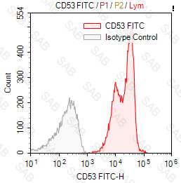 FITC anti-human CD53