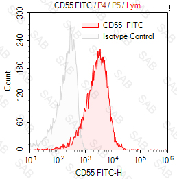 FITC anti-human CD55