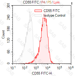 FITC anti-human CD55