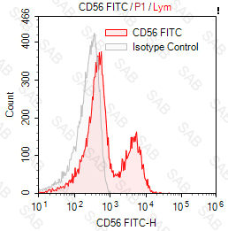 FITC anti-human CD56