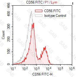 FITC anti-human CD56