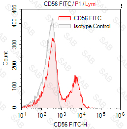 FITC anti-human CD56