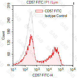 FITC anti-human CD57