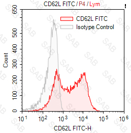 FITC anti-human CD62L