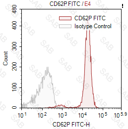 FITC anti-human CD62P