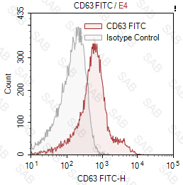 FITC anti-human CD63