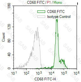 FITC anti-human CD68