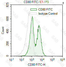 FITC anti-human CD80