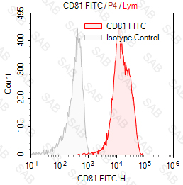 FITC anti-human CD81