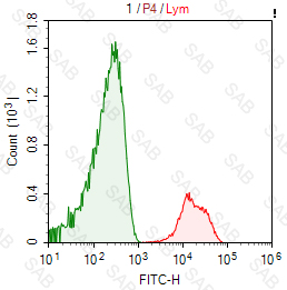 FITC anti-human CD81