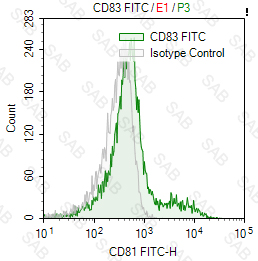 FITC anti-human CD83