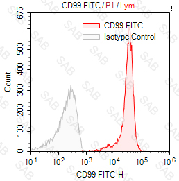 FITC anti-human CD99