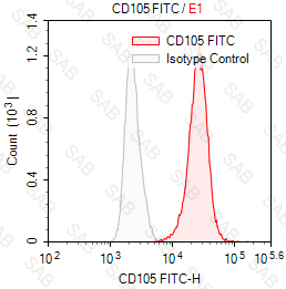 FITC anti-human CD105