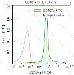 FITC anti-human CD107a