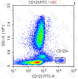 FITC anti-human CD123