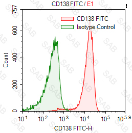 FITC anti-human CD138