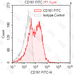 FITC anti-human CD161