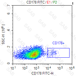 FITC anti-human CD178