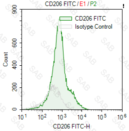 FITC anti-human CD206