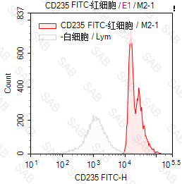 FITC anti-human CD235