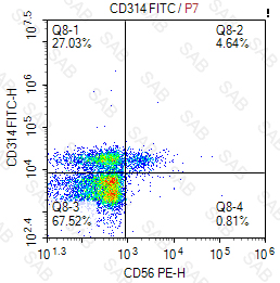 FITC anti-human CD314