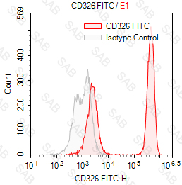 FITC anti-human CD326