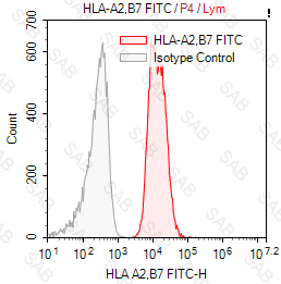 FITC anti-human HLA A2 B7 (MHC Class I)