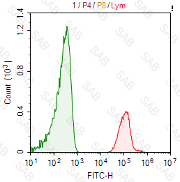 FITC anti-human HLA-A，B，C（HLA Class I）