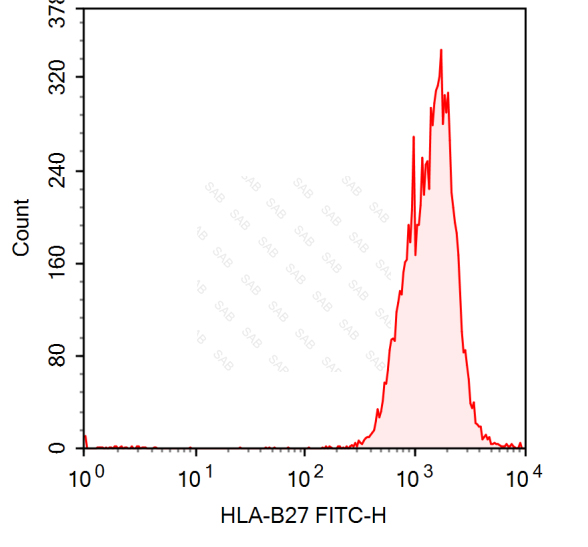 FITC anti-human HLA-B27