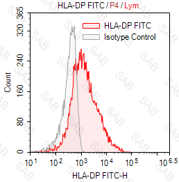 FITC anti-human HLA-DP (MHC Class II) Monomorphic