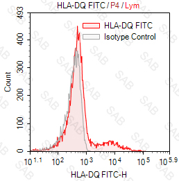 FITC anti-human HLA-DQ (MHC Class II)