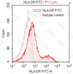 FITC anti-human HLA-DR