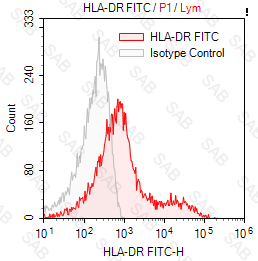 FITC anti-human HLA-DR