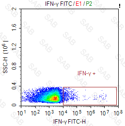 FITC anti-human IFN-γ