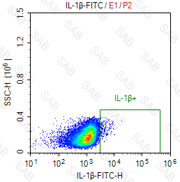 FITC anti-human IL1-beta