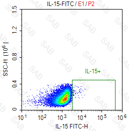 FITC anti-human IL-15