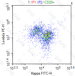 FITC anti-human Kappa