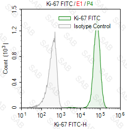 FITC anti-human Ki-67