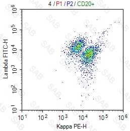 FITC anti-human Lambda