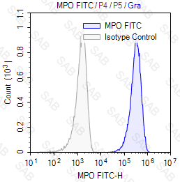 FITC anti-human myeloperoxidase