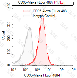 Alexa Fluor 488 anti-human CD95