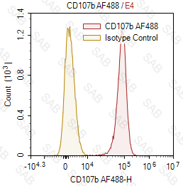 Alexa Fluor 488 anti-human CD107b