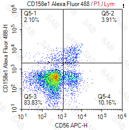 Alexa Fluor 488 anti-human CD158e1