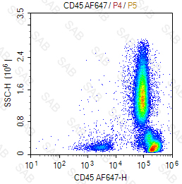 Alexa Fluor 647 anti-human CD45