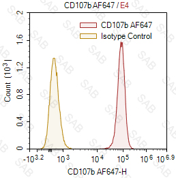 Alexa Fluor 647 anti-human CD107b