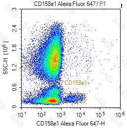 Alexa Fluor 647 anti-human CD158e1