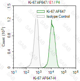 Alexa Fluor 647 anti-human Ki-67