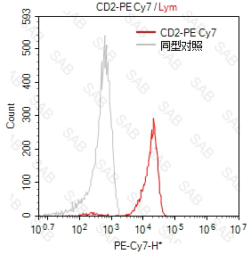 PE-Cy7 anti-human CD2