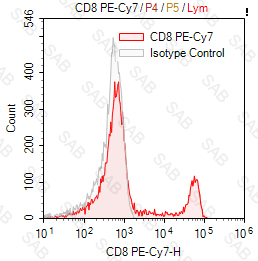 PE-Cy7 anti-human CD8