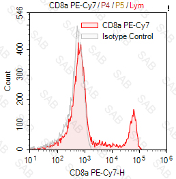 PE-Cy7 anti-human CD8a